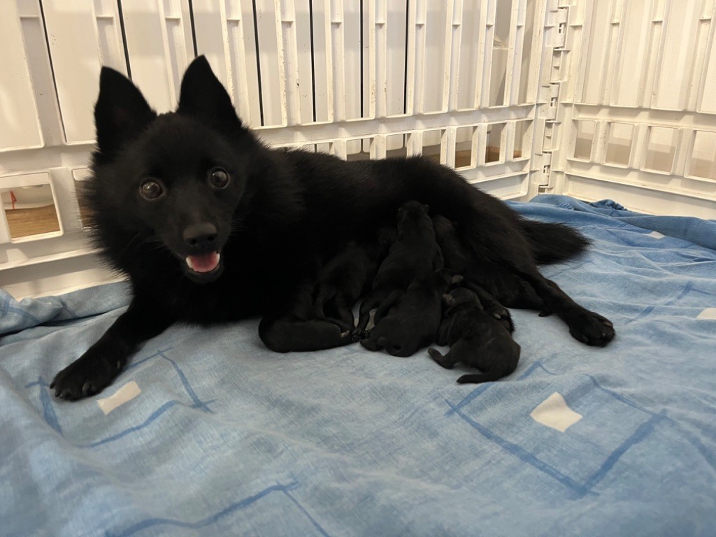 Les bébés sont arrivés ! 